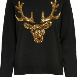 Beste Pirce 🛒 ONLY ONLXMAS L/S PULLOVER EX KNT Dames Trui - Maat S 😀