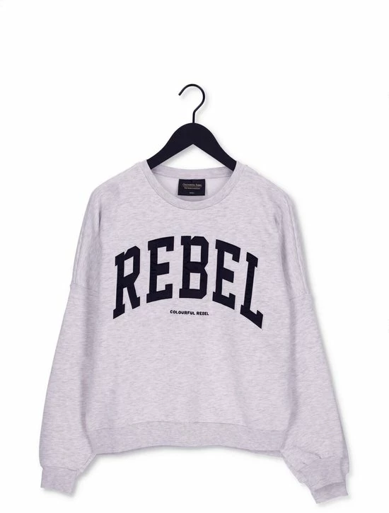 Aanbiedingen 🎉 Colourful Rebel Rebel Patch Trui Grijs Dames - Loose Fit - Katoen - M ⭐ 10 Aanbiedingen 🎉 Colourful Rebel Rebel Patch Trui Grijs Dames - Loose Fit - Katoen - M ⭐ - Afbeelding 8