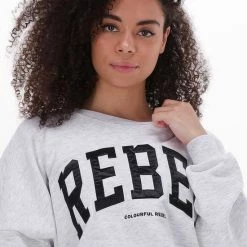 Aanbiedingen 🎉 Colourful Rebel Rebel Patch Trui Grijs Dames - Loose Fit - Katoen - M ⭐ 14 Aanbiedingen 🎉 Colourful Rebel Rebel Patch Trui Grijs Dames - Loose Fit - Katoen - M ⭐ -Dameskleding Verkoopwinkel 550x785 18