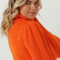 Nieuw 💯 Colourful Rebel Tani Trui Oranje Dames - Basic Fit - Katoen - S 🎉 -Dameskleding Verkoopwinkel 550x785 43