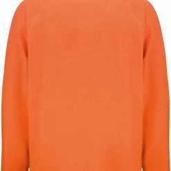 Top 10 ❤️ Merkloos Senvi Fleece Vest - Warm En Lichtgewicht - Kleur Oranje - L ✨ 19 Top 10 ❤️ Merkloos Senvi Fleece Vest - Warm En Lichtgewicht - Kleur Oranje - L ✨ -Dameskleding Verkoopwinkel 550x803 1