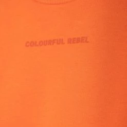 Goedkoopste 😍 Colourful Rebel Logo Trui Oranje Dames - Slim Fit - Katoen - L 👏 -Dameskleding Verkoopwinkel 550x824 135