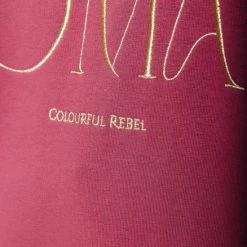 Coupon ❤️ Colourful Rebel Moon Nomad Trui Roze Dames - Loose Fit - Katoen - L 👏 -Dameskleding Verkoopwinkel 550x824 21